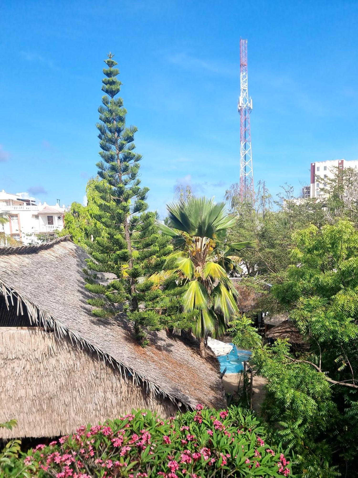 Tulia House Backpackers Vandrerhjem Mombasa Eksteriør bilde